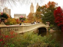 Central Park – Điểm đến nổi bật giữa lòng New York