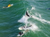 San Francisco – thiên đường biển đảo và lướt sóng