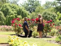Ghé thăm công viên Nữ hoàng Elizabeth ở Vancouver