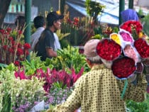 4 địa điểm mua sắm khi du lịch Jakarta