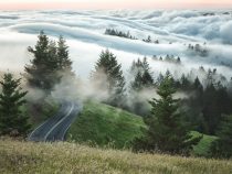 Đến San Francisco chinh phục đỉnh núi cao nhất phía bắc California