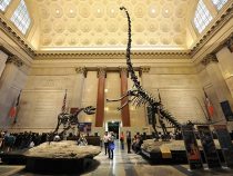 Trải nghiệm thú vị tại bảo tàng lớn nhất New York