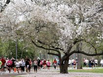 Atlanta – thành phố du lịch hấp dẫn của Hoa Kỳ