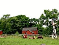 Schaumburg – điểm đến quen thuộc của mọi du khách ở Chicago
