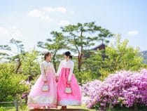 Lý do khiến bạn nên sắm vé máy bay đi Seoul du lịch dù chỉ một lần