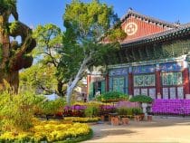Đừng quên thưởng thức ẩm thực khi mua vé máy bay đi Seoul