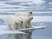 Top 3 địa điểm du lịch hấp dẫn nhất ở Canada