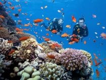 Những trải nghiệm gợi ý cho người lần đầu đến Phú Quốc