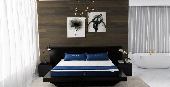 Nên mua đệm cao su hãng nào tốt nhất hiện nay?