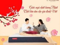Địa Chỉ Mua Đệm Nhật Tại Cầu Giấy